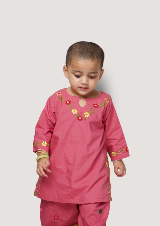 Ayesha Gulabo